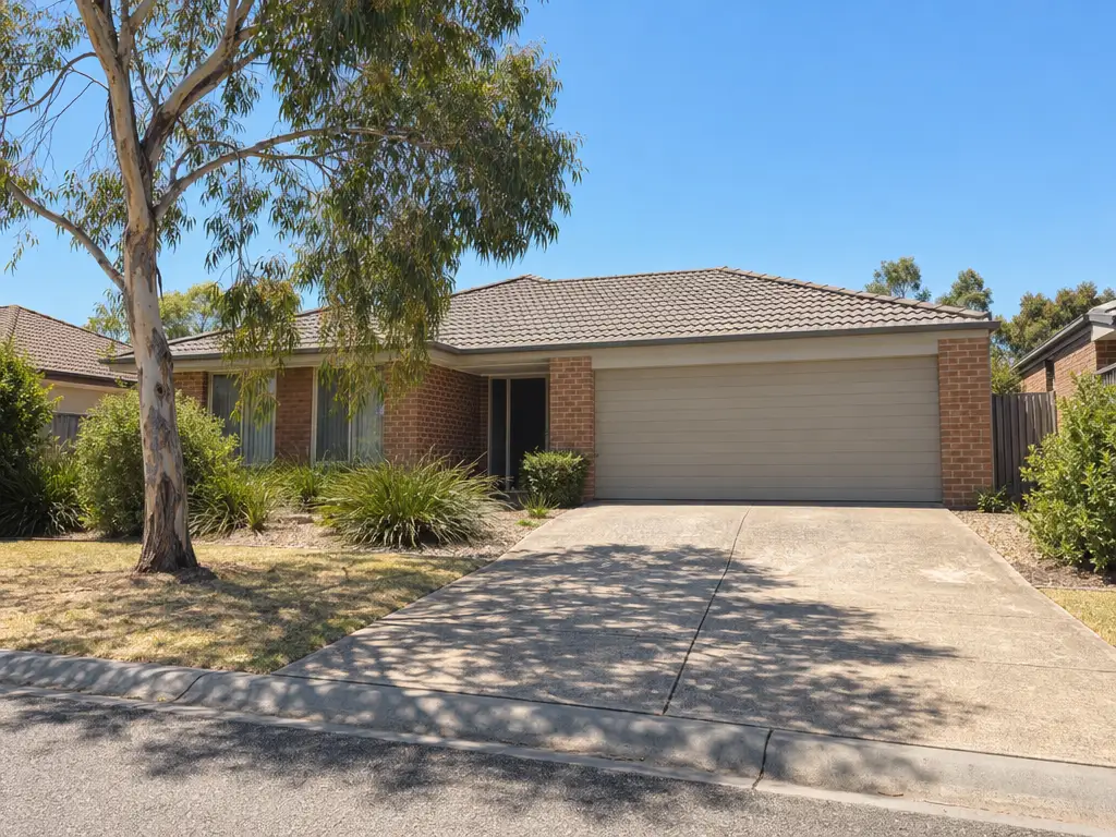 Brick house with a closed cream garage door, a sunlit concrete driveway and a eucalypt on the lawn under a clear blue sky